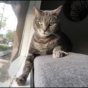 Meet your Posher, Michaela